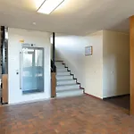 Kult Auf Sylt Appartement *