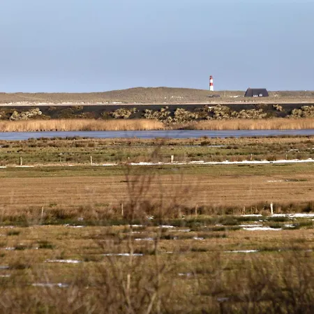 Kult Auf Sylt List